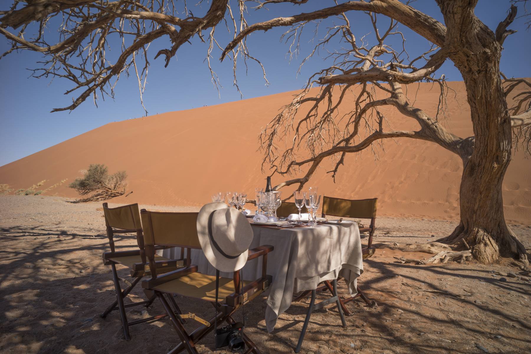 LUXURY SAFARI MAGAZINES READERSHIP SKYROCKETS